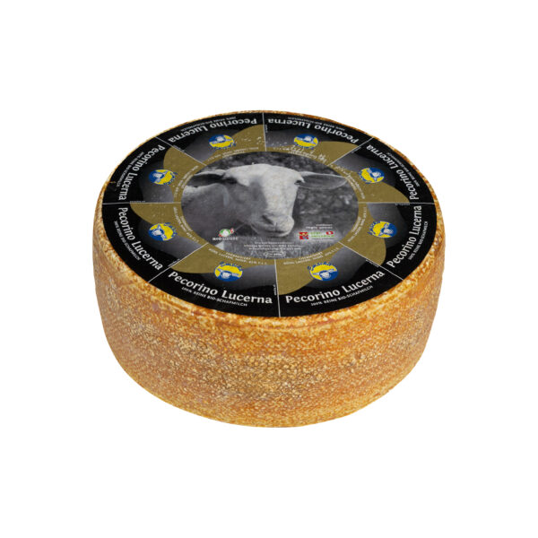 Pecorino Lucerna