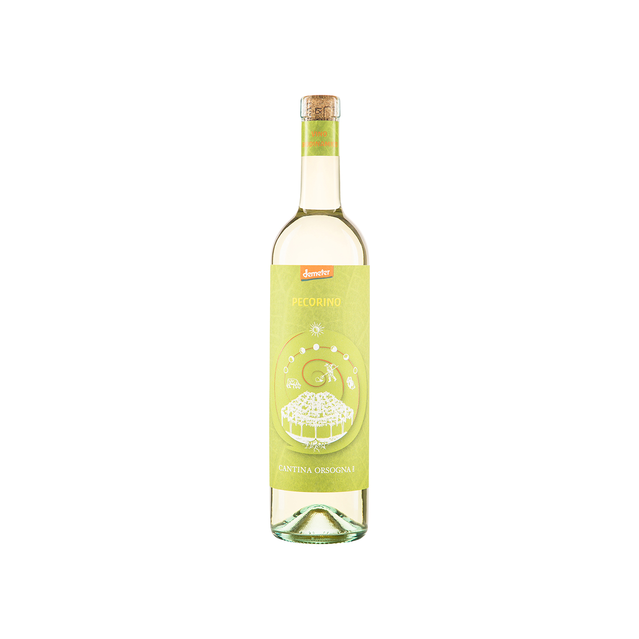 400472173_y_001.jpg Pecorino - Terre d'Abruzzo IGP 2024 – Image 1