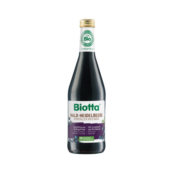 Myrtilles des bois