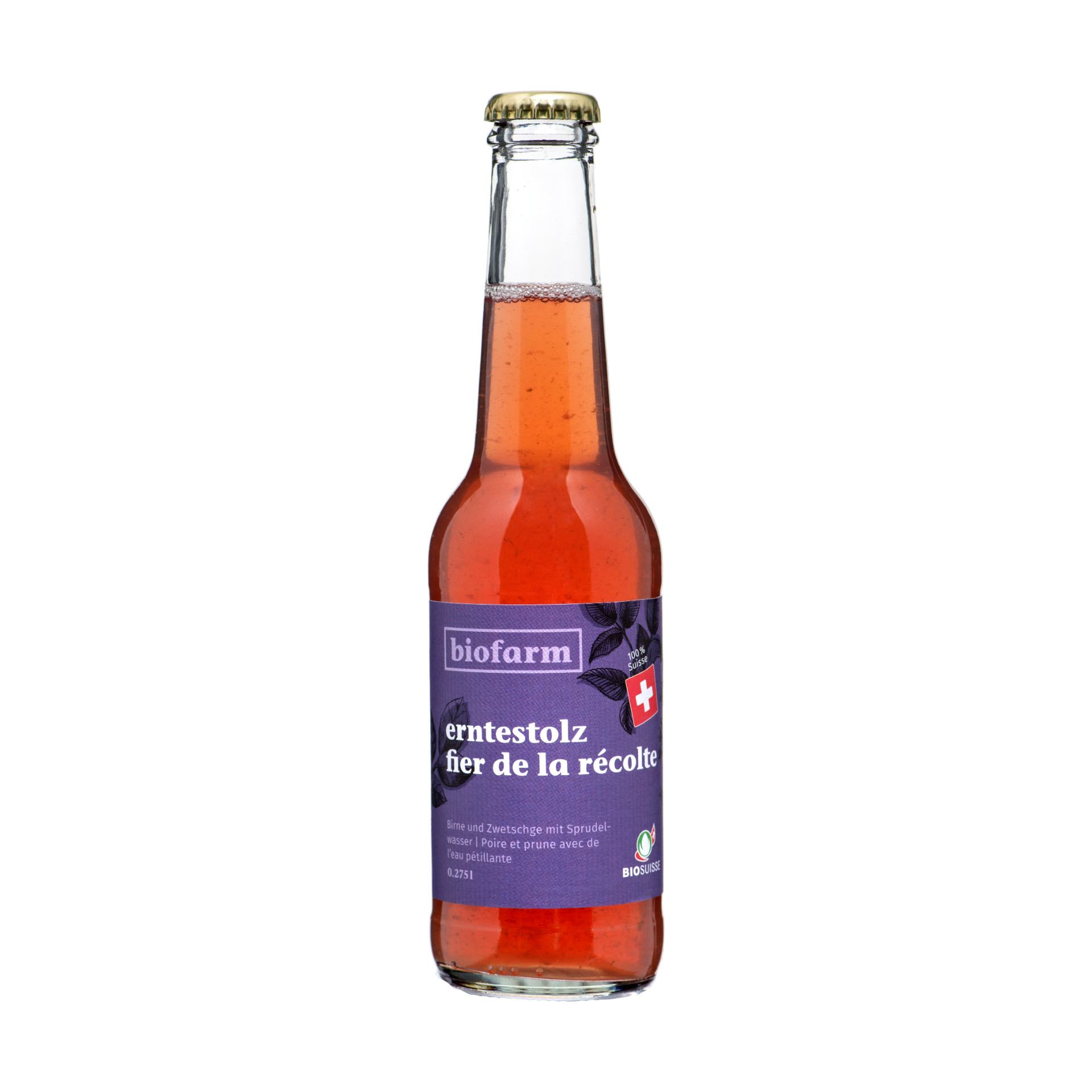 420481012_y_001.jpg fierté de la récolte poire/prune – Image 1