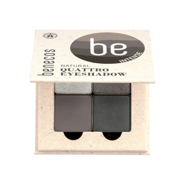Quattro Eyeshadow smokey eyes