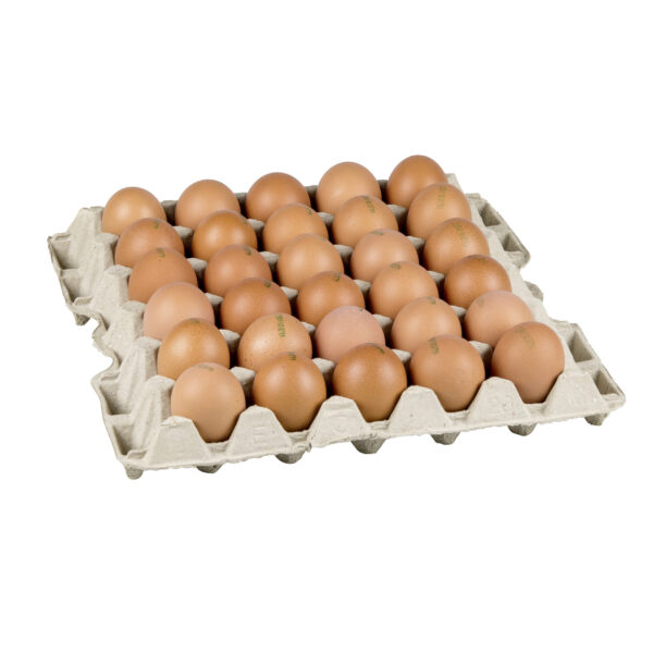 Oeufs élevage en plein air KAG, plateau 90 pcs
