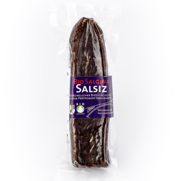 Salsiz Salgina