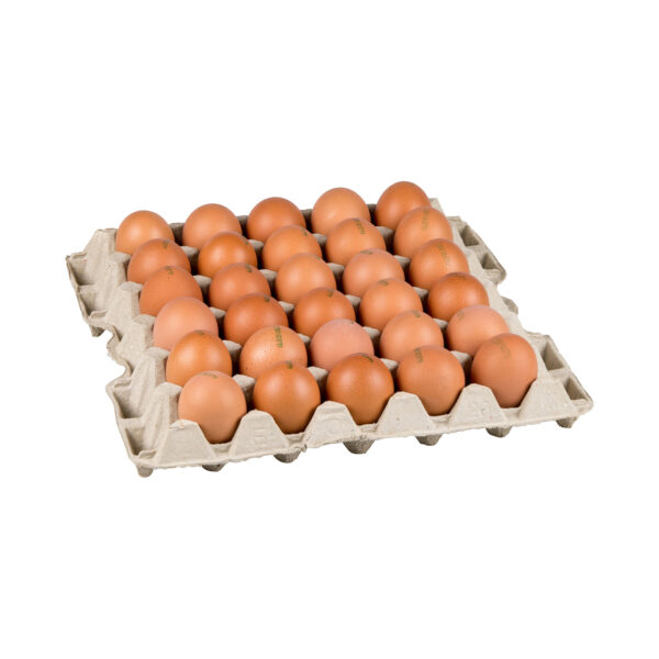 Oeufs en plateaux 30 par carton
