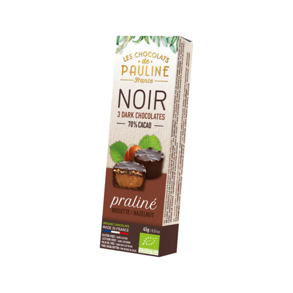 Bouchées noisettes chocolat noir